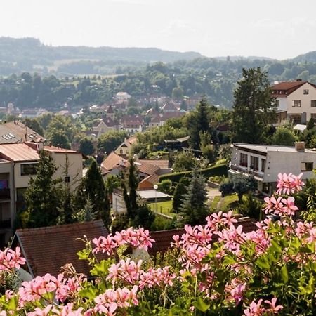 Element Bed and Breakfast Český Krumlov Εξωτερικό φωτογραφία